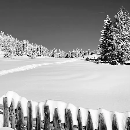 Bieles - Active Alpine Living Apartment *
