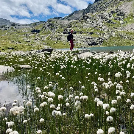 Bieles - Active Alpine Living Kauns