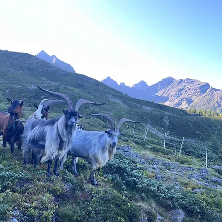 Bieles Neu - Bergoase Mit Privater Outdoor-sauna & Massagepraxis דירה